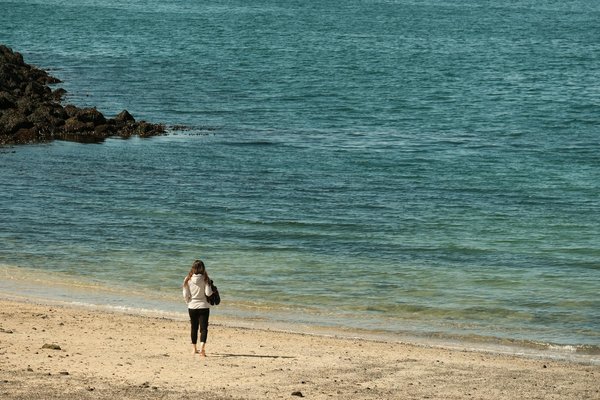 Can Personal Genetic Testing Predict the Risk of Developing Specific Cancers?