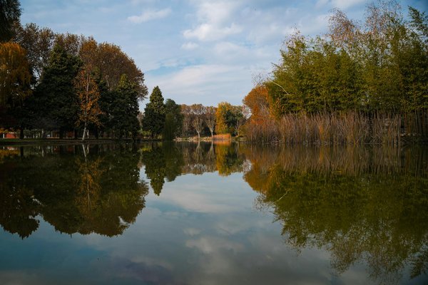 Vitalityandnutritionhub